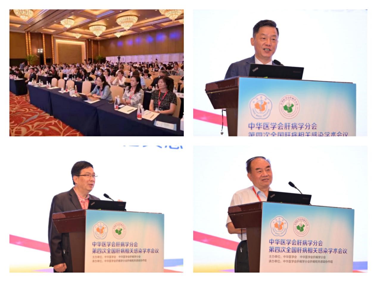 聚焦學(xué)術(shù)前沿，共迎肝病防治新征程！福瑞股份以學(xué)術(shù)助力中醫(yī)藥發(fā)展